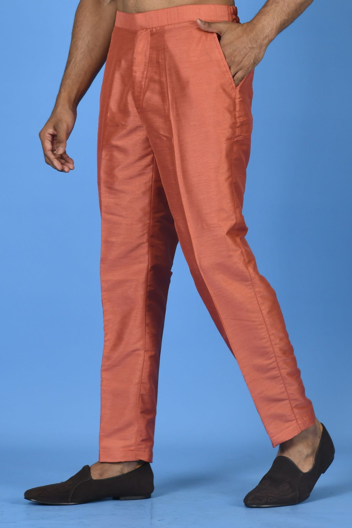 Designer Pant In Brown
