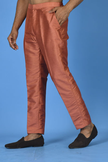 Designer Pant in Brown Colour