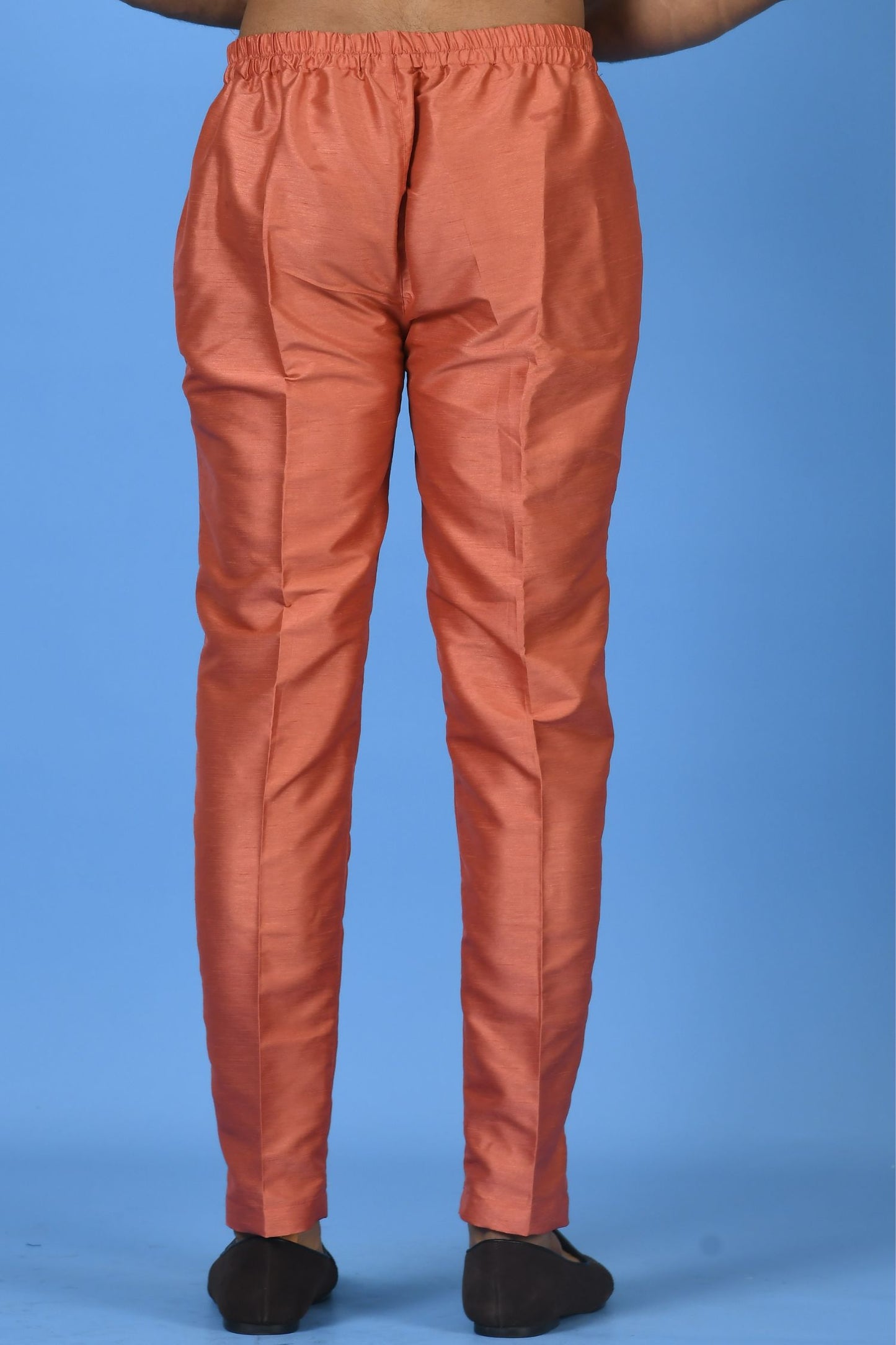 Designer Pant In Brown