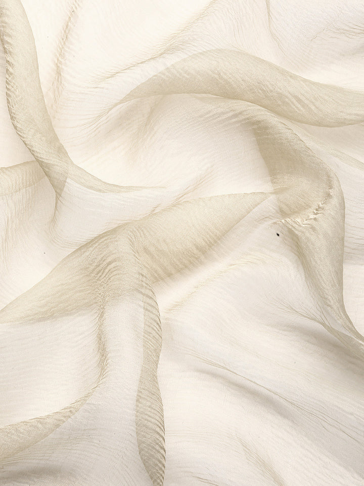 Desginer Off White Tissue Saree