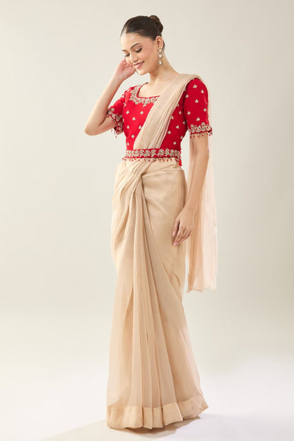 Designer Wear  Beige  Tissue  Drape Saree