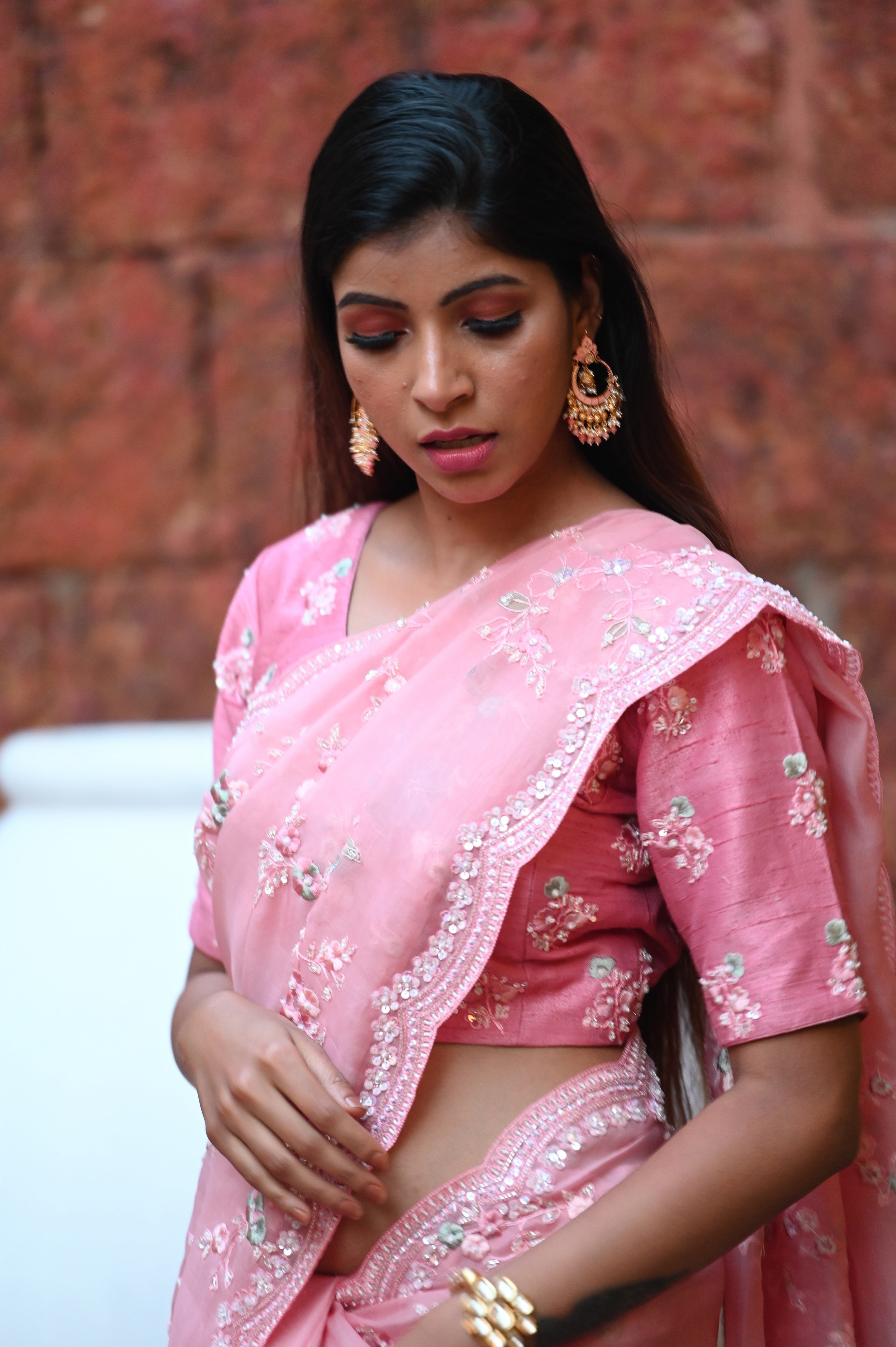 Pink Saree With Fancy Blouse – Panaash Saree