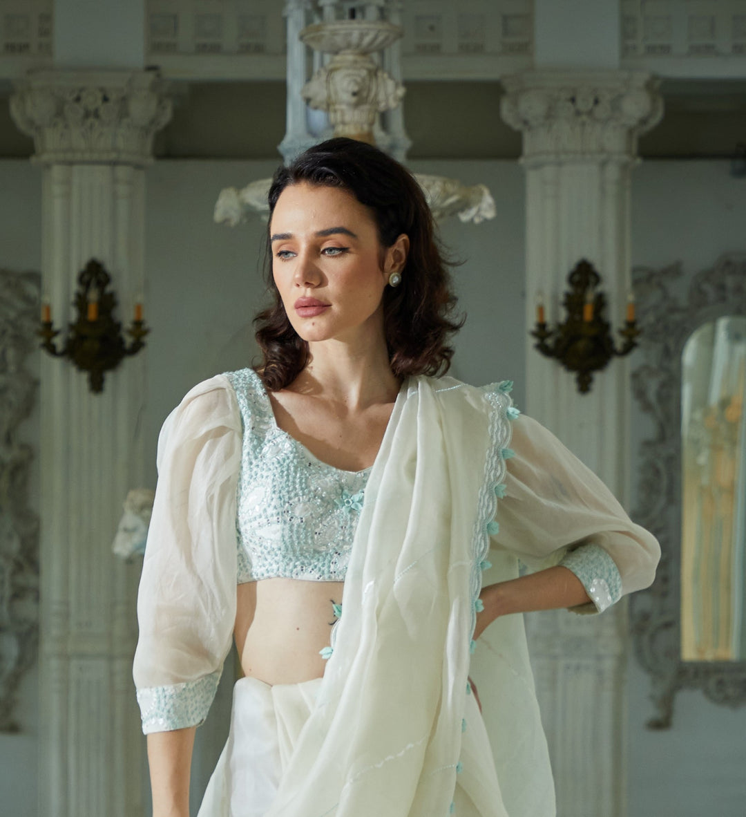 Designer greish white color Hand Embroidered saree blouse set